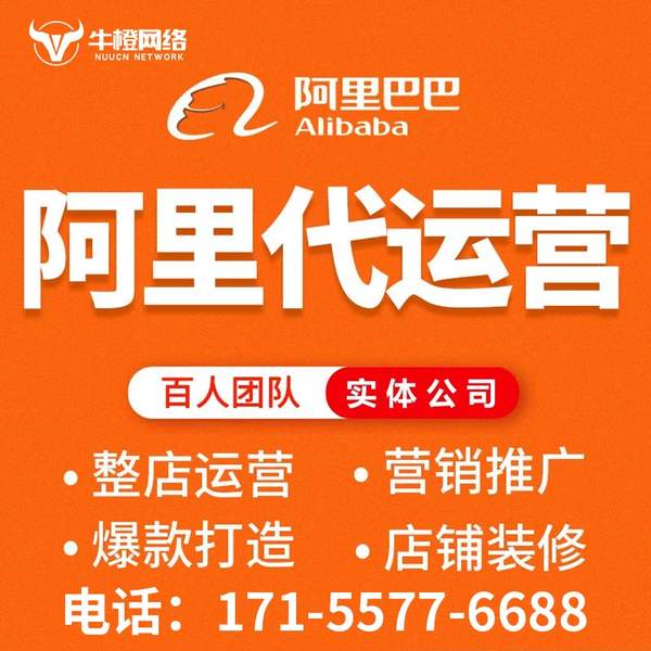 上海电商代运营