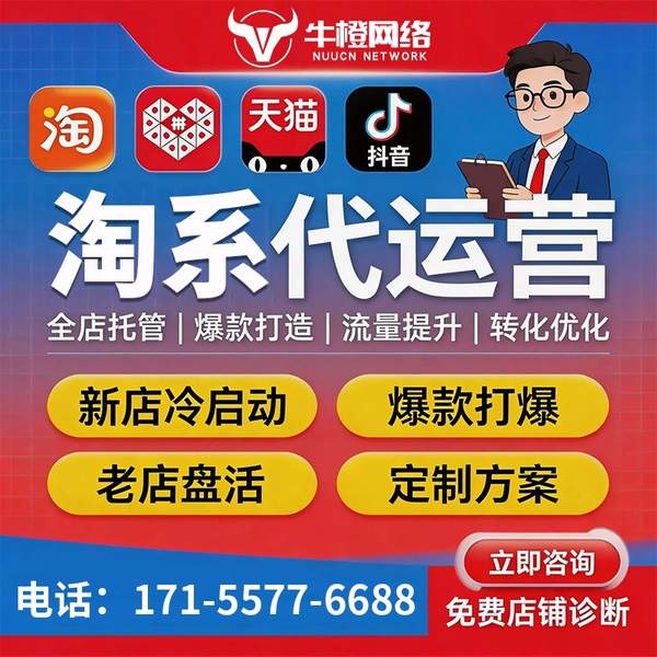 上海电商代运营