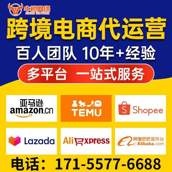 上海电商代运营