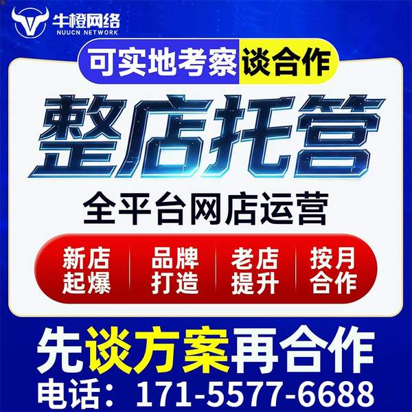 上海电商代运营