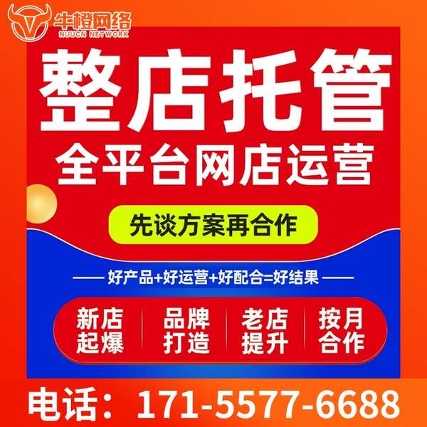 上海电商代运营