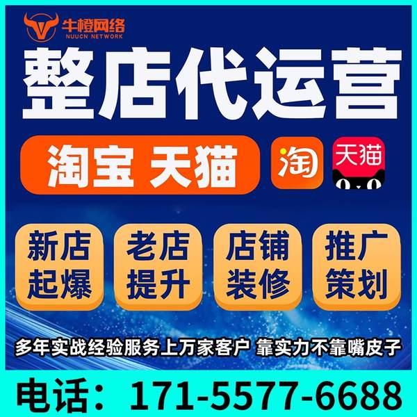 上海电商代运营