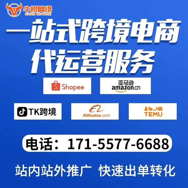 上海电商代运营