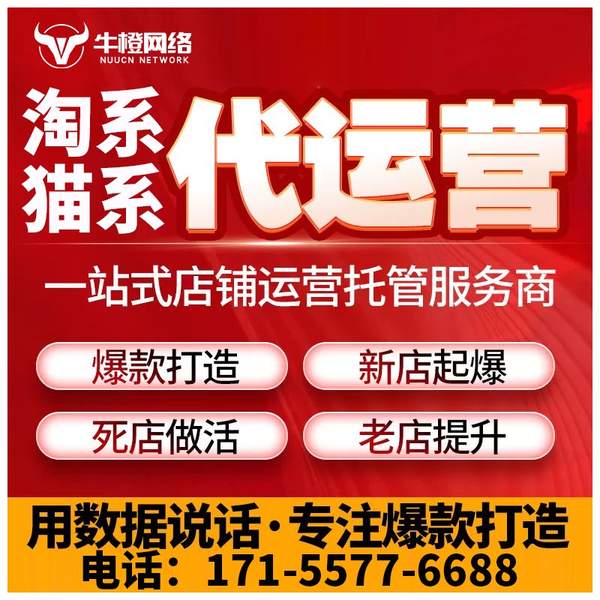 上海电商代运营